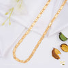 One by One Dimond cut Nawabi gold plated chain For Man - FMGC1213
